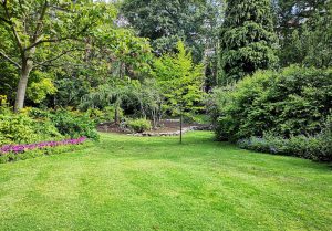 Optimiser l'expérience du jardin à Vaux-et-Chantegrue